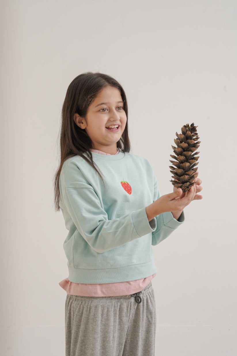 Cozy Everyday Sweatshirt