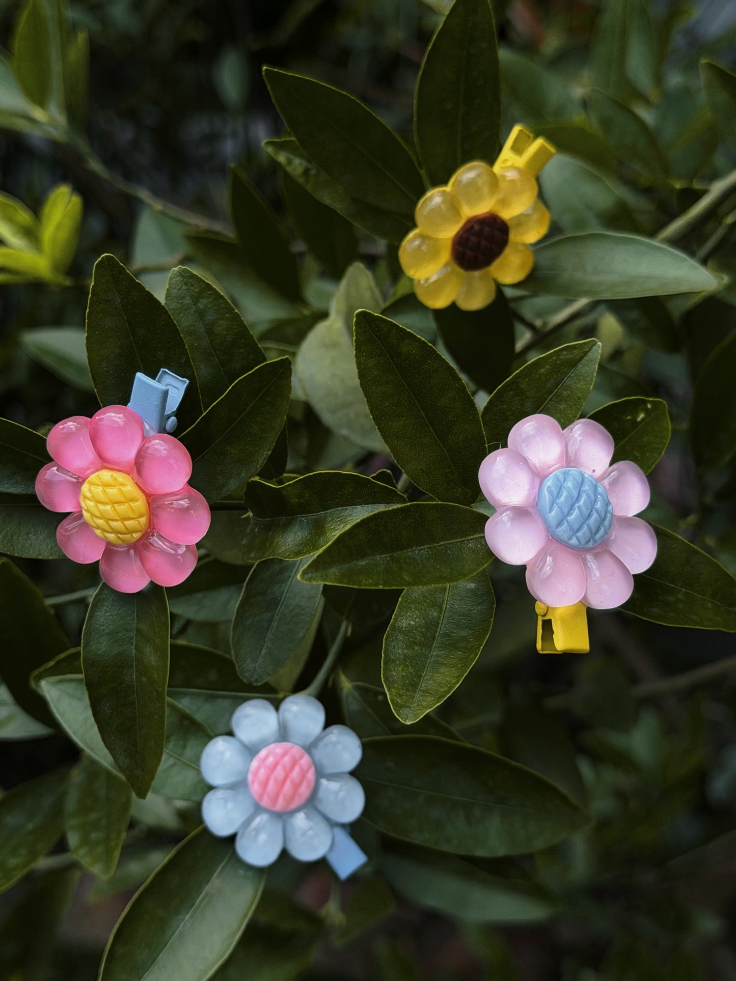 Candy Flower Clips