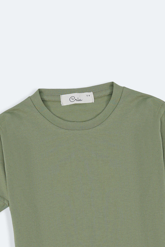 #color_sage-green