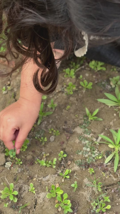 Embroidered Denim Frock